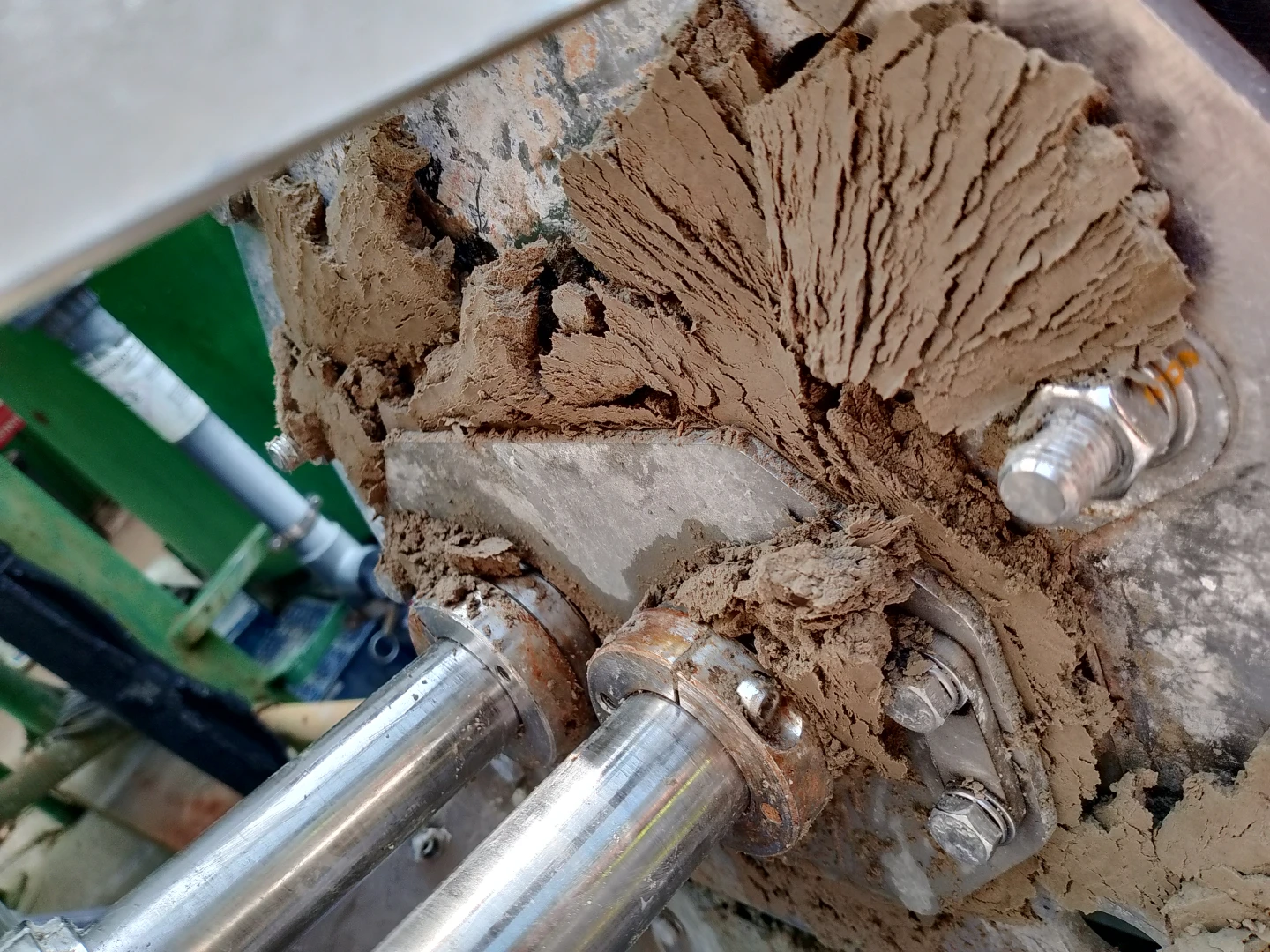 fanghi in fase di disidratazione